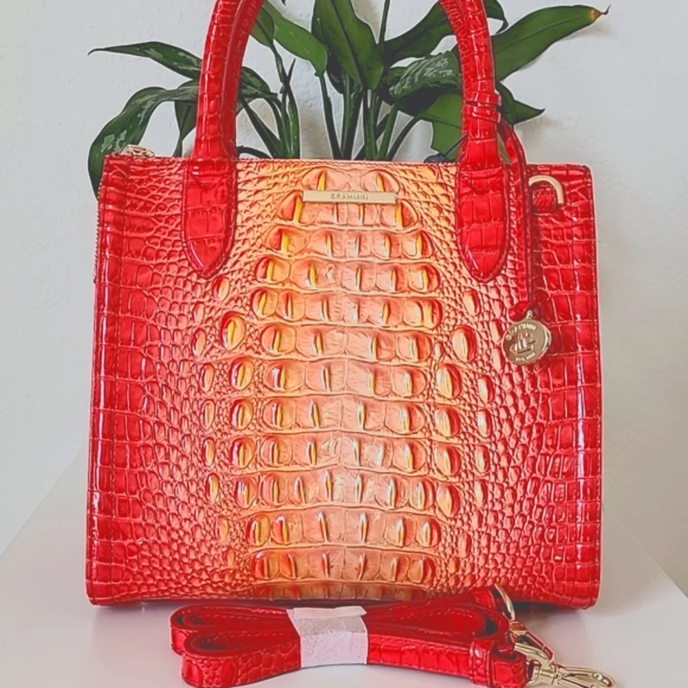 NWT🌺 Brahmin Small Caroline Infusion Ombre Melbourne Leather bag